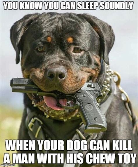 Holstered Attack Dog Meme - Captions Beautiful