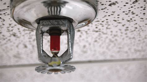 Sprinkler Installation Company Insurance - ALIGNED Insurance