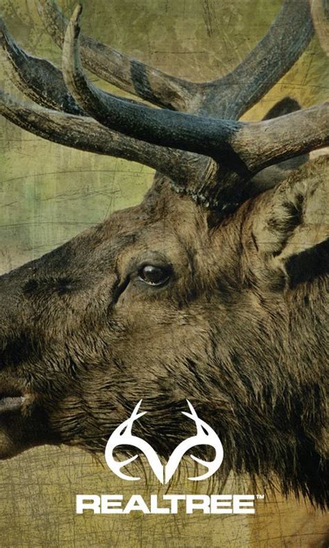 🔥 Download Wallpaper Background Realtree by @gwhite | Realtree Camo ...