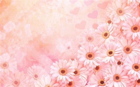 Pink Daisy Wallpapers - Wallpaper Cave