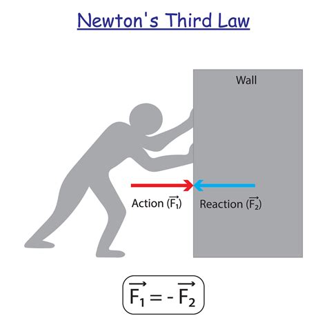 Newton's Third Law experiment. Statement, Examples, and Equation. Study ...