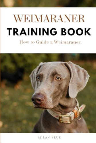 Weimaraner Training Book: How to Guide a Weimaraner by Milan Blue | Goodreads