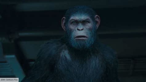 Kingdom of the Planet of the Apes release date, cast, plot, and more | The Digital Fix