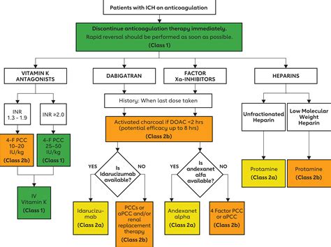 2022 Guideline for the Management of Patients With Spontaneous Intracerebral Hemorrhage: A ...