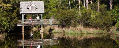 Kiawah Island Bike Trails - A Local's Guide | Pam Harrington