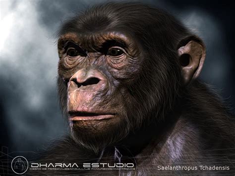 Mejores 182 imágenes de 2-Sahelanthropus tchadensis en Pinterest | Documentales, Arcángel ...