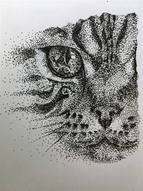 Pointillism Cat em 2022 | Pontilhismo, Desenho de animais, Desenhos ...