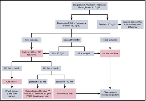 Cureus | Iron Deficiency Anemia in Pregnancy