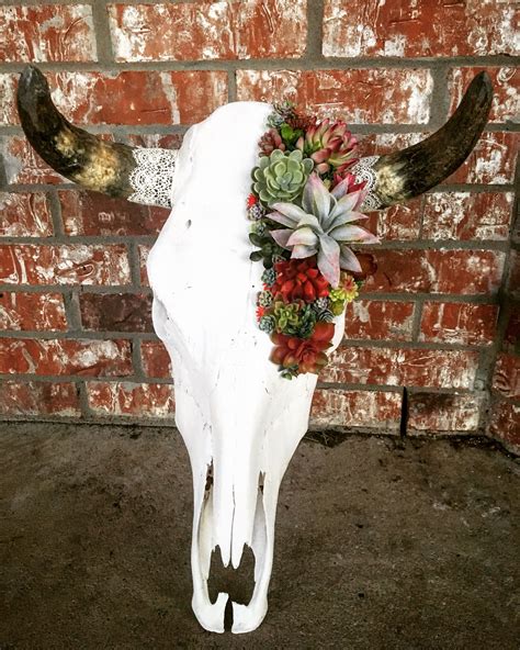 cow skull arts and crafts - Consuela Fuqua