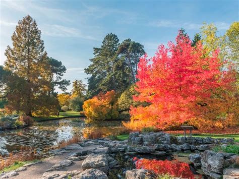 Cambridge University Botanic Garden (Cambridge) - Visitor Information ...