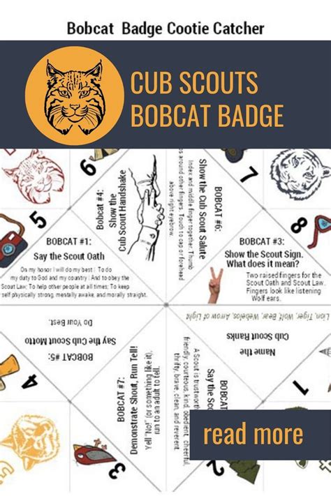 Bobcat Badge | Scout Oath, Scout Law, Scout Salute, Scout Motto, Handshake, Sign | Bear scouts ...