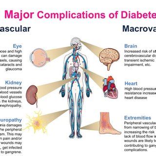 Complications of diabetes mellitus | Download Scientific Diagram