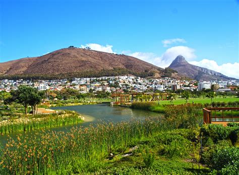 The Green Point Urban Park, Cape Town, South Africa