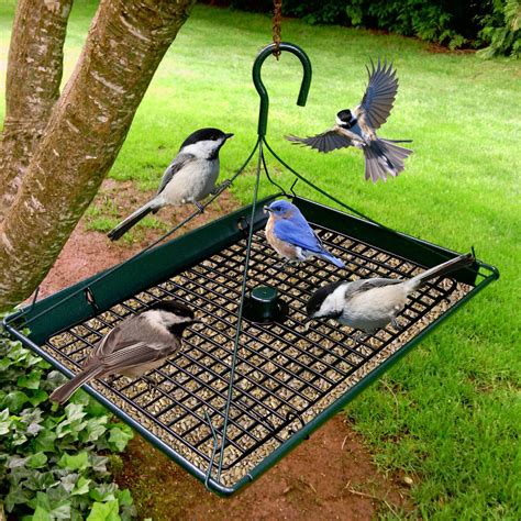 Platform Tray Bird Feeder | Homemade bird feeders, Bird feeders, Platform bird feeder