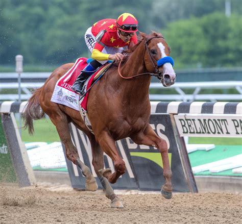 Justify’s Triple Crown makes him the likely Horse of the Year