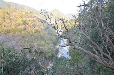 Araku Valley, Vishakapatnam, Andhra Pradesh, India Stock Photo | Adobe ...