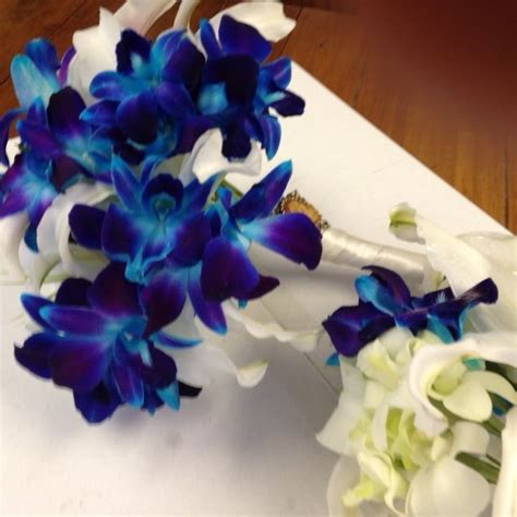 Dark blue orchids! Make a striking bouquet. | Blue orchids, Orchids, Bouquet