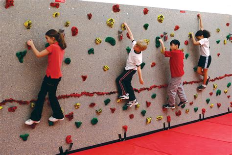 Standard Climbing Wall | Climbing wall kids, Climbing wall, Everlast