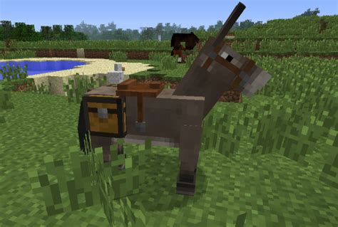 Minecraft Horses, A How To Guide For Minecraft 1.6 | WORDPUNCHER'S VIDEO GAME EXPERIENCE