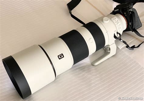 Sony 200-600mm Review