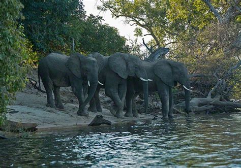 Mosi-oa-Tunya National Park – SEADOC PHOTOGRAPHY