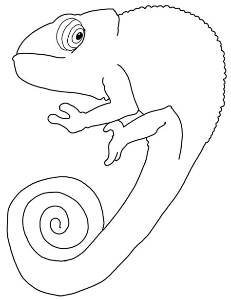 Chameleon Outline Drawing at GetDrawings | Free download