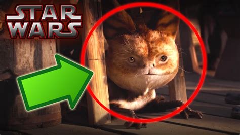 LOTH-CATS (Canon) - Star Wars Explained - YouTube