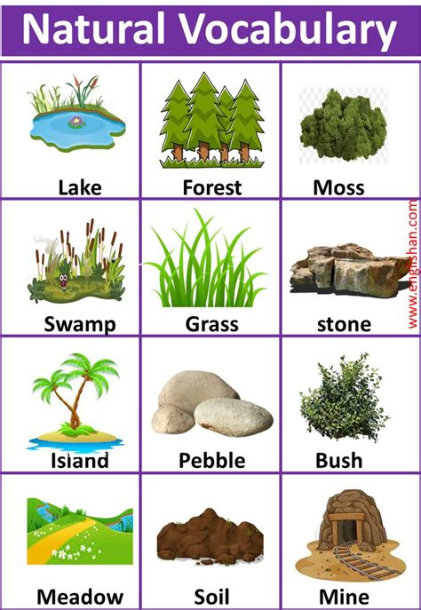 Words For Nature Lover | Vocabulary, English vocabulary, Vocabulary words