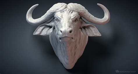 Cape Buffalo head sculpture. Digital 3D model for 3d printing