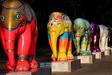 The Elephant Parade: a Story of Art, Culture and Conservation - FeltMagnet