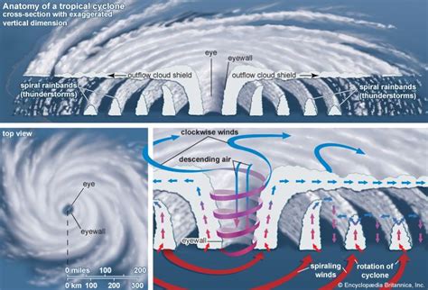 Tropical cyclone | Definition, Causes, Formation, and Effects | Britannica