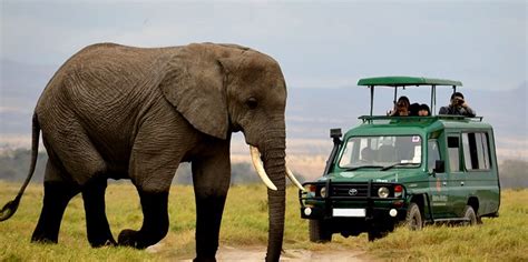 Activities in Akagera National Park | Rwanda Wildlife Safari