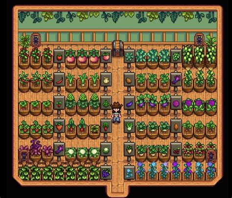 a stardew valley shed layout with rows of garden pots growing different ...