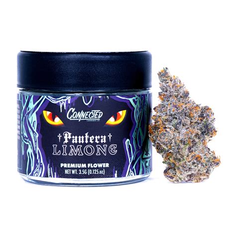 Connected Premiers New Strain Pantera Limone - LA Weekly