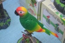 Parrot Toy Free Stock Photo - Public Domain Pictures