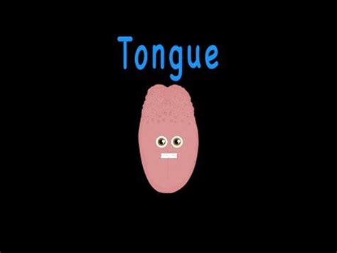 The Human Body for Kids/Learn about the Human Body for Children/Tongue Song | Human body systems ...