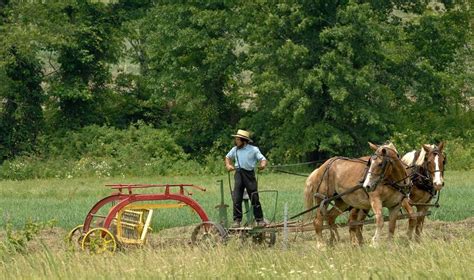 ~ Amish Farming ~ USA. ~ Sarah's Country Kitchen ~ | Amish men, Amish community, Amish