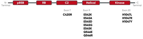 PIK3CA-11 mutations 12.5% AF cfDNA | SensID GmbH