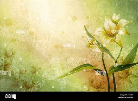 White White lily flower Stock Photo - Alamy