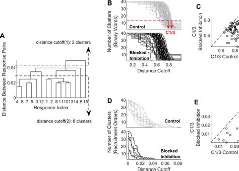 Bicuculline quenches the cluster content of activity patterns in ...