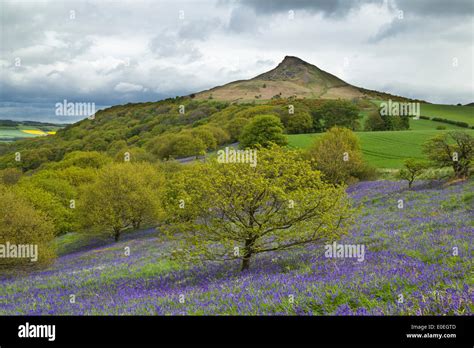 North York Moors National Park, North Yorkshire, UK. 11 May 2014 Stock ...