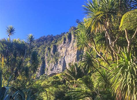 Paparoa National Park - New Zealand Trails