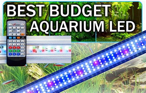 How Much Led Light For Aquarium Plants | Homeminimalisite.com