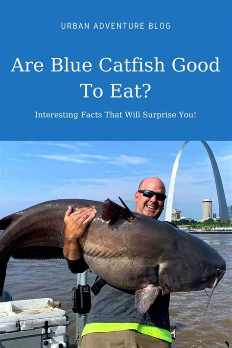 Are Blue Catfish Good To Eat?