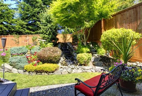 6 Trees That Are Perfect for Small Backyards - Treescape