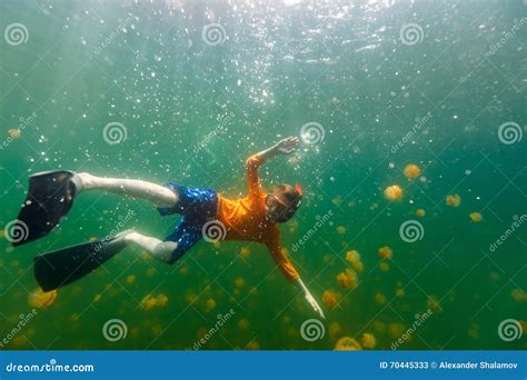 Child Snorkeling in Jellyfish Lake Stock Image - Image of activity, jellyfish: 70445333