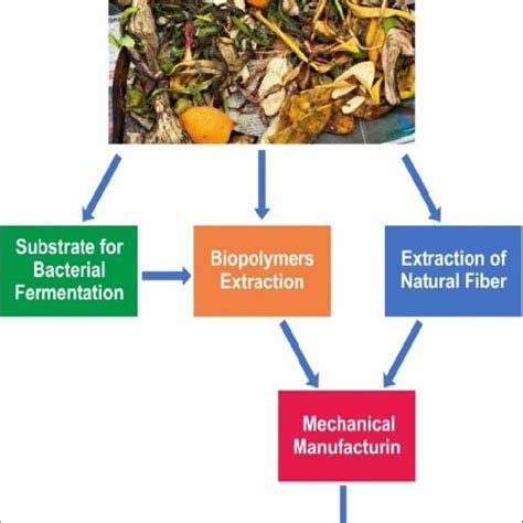 Process of bioplastic from kitchen waste | Download Scientific Diagram