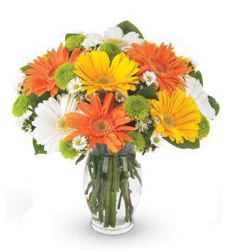 Avas Flowers Thank You Bouquet | Avas Flowers