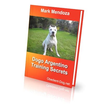 Dogo Argentino Training Secrets - How To Train a Dogo Argentino