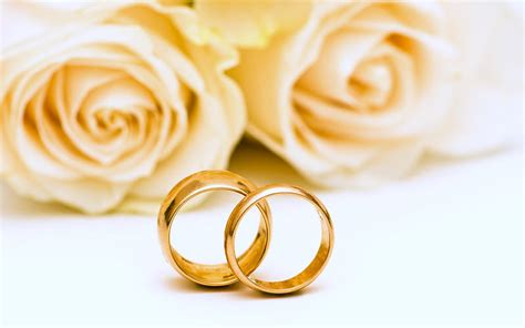 Wedding gold rings, white roses, wedding, wedding jewelry, wedding concepts, HD wallpaper | Peakpx